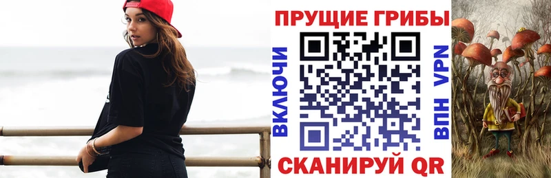 Псилоцибиновые грибы Psilocybine cubensis  Купить закладки  Ивантеевка 